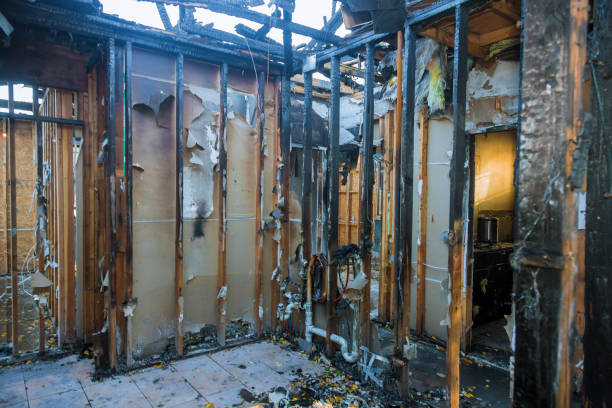 Professional Fire Damage Assessment technician working in Toluca, IL